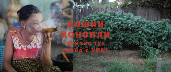 ГАЛЛЮЦИНОГЕННЫЕ ГРИБЫ Баксан