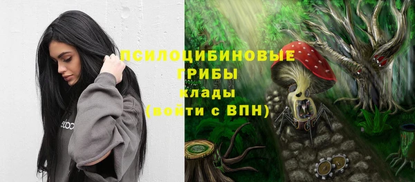 ГАЛЛЮЦИНОГЕННЫЕ ГРИБЫ Баксан