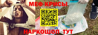 тгк Кингисепп
