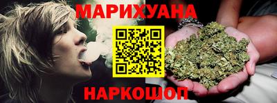 тгк Кингисепп
