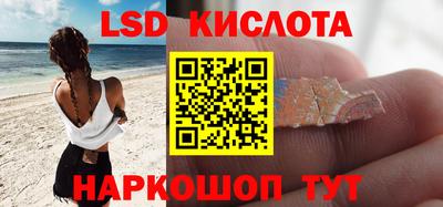 тгк Кингисепп