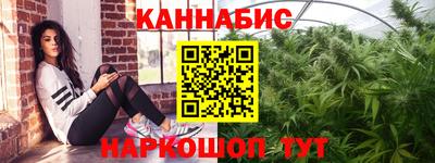 тгк Кингисепп