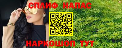 тгк Кингисепп