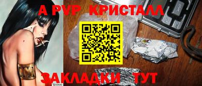 тгк Кингисепп