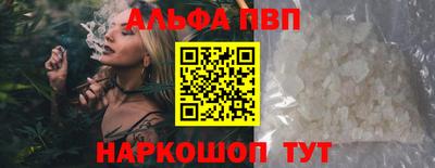 тгк Кингисепп