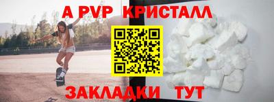 тгк Кингисепп