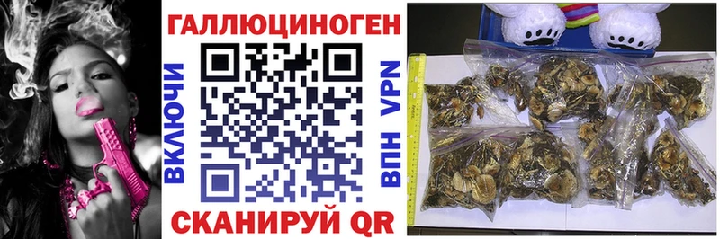 купить наркотик  Чернушка  Галлюциногенные грибы мицелий 