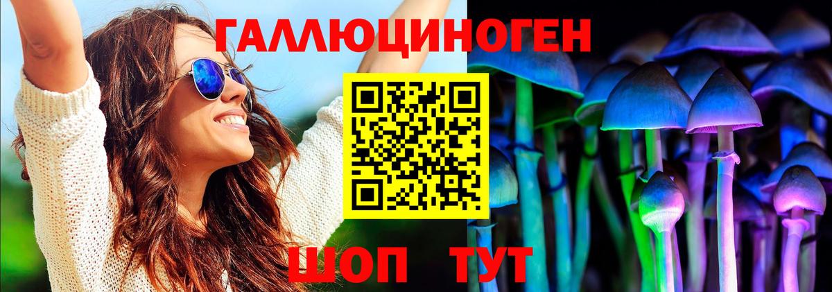 Псилоцибиновые грибы Cubensis  Галлюциногенные грибы GOLDEN TEACHER  Чернушка  Вход с VPN 
